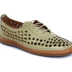 Derbys Scarlatine Pals Kaki