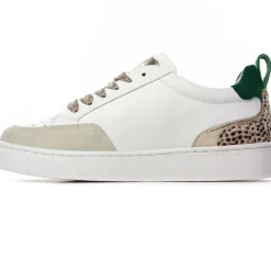 Baskets Mode Vanessa Wu Gabriela Bk2708 Vert