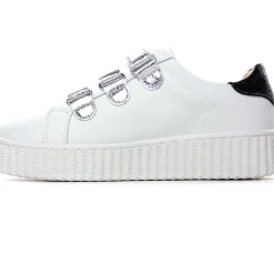 Baskets Plateforme Vanessa Wu Marilou Bk2387 Argent