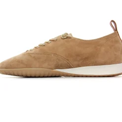 Derbys Mamzelle Dart Biscuit
