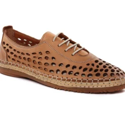 Derbys Scarlatine Pals Camel