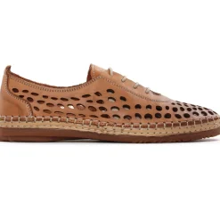 Derbys Scarlatine Pals Camel