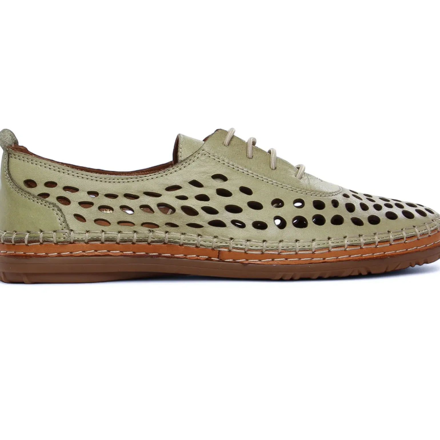 Derbys Scarlatine Pals Kaki