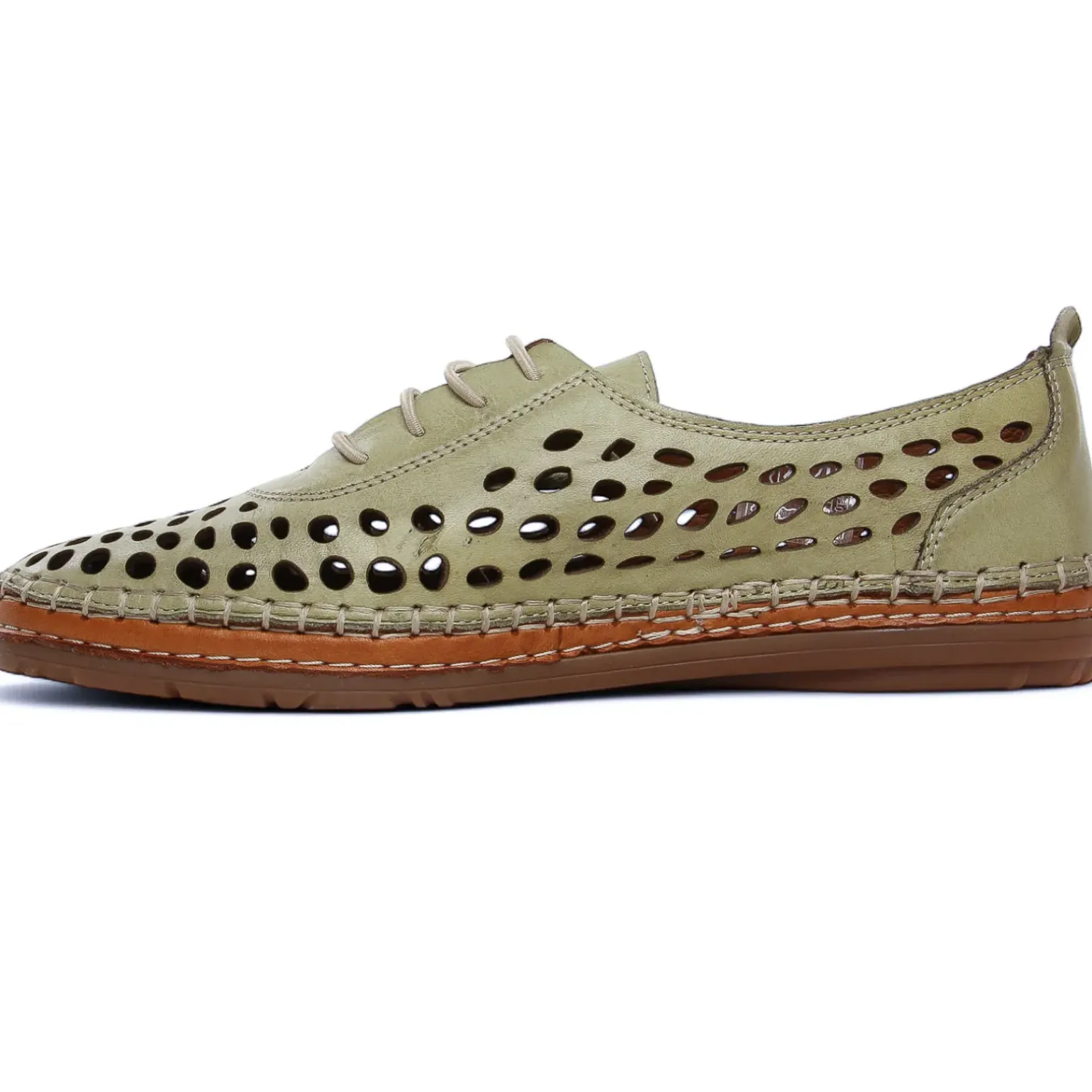 Derbys Scarlatine Pals Kaki