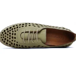 Derbys Scarlatine Pals Kaki