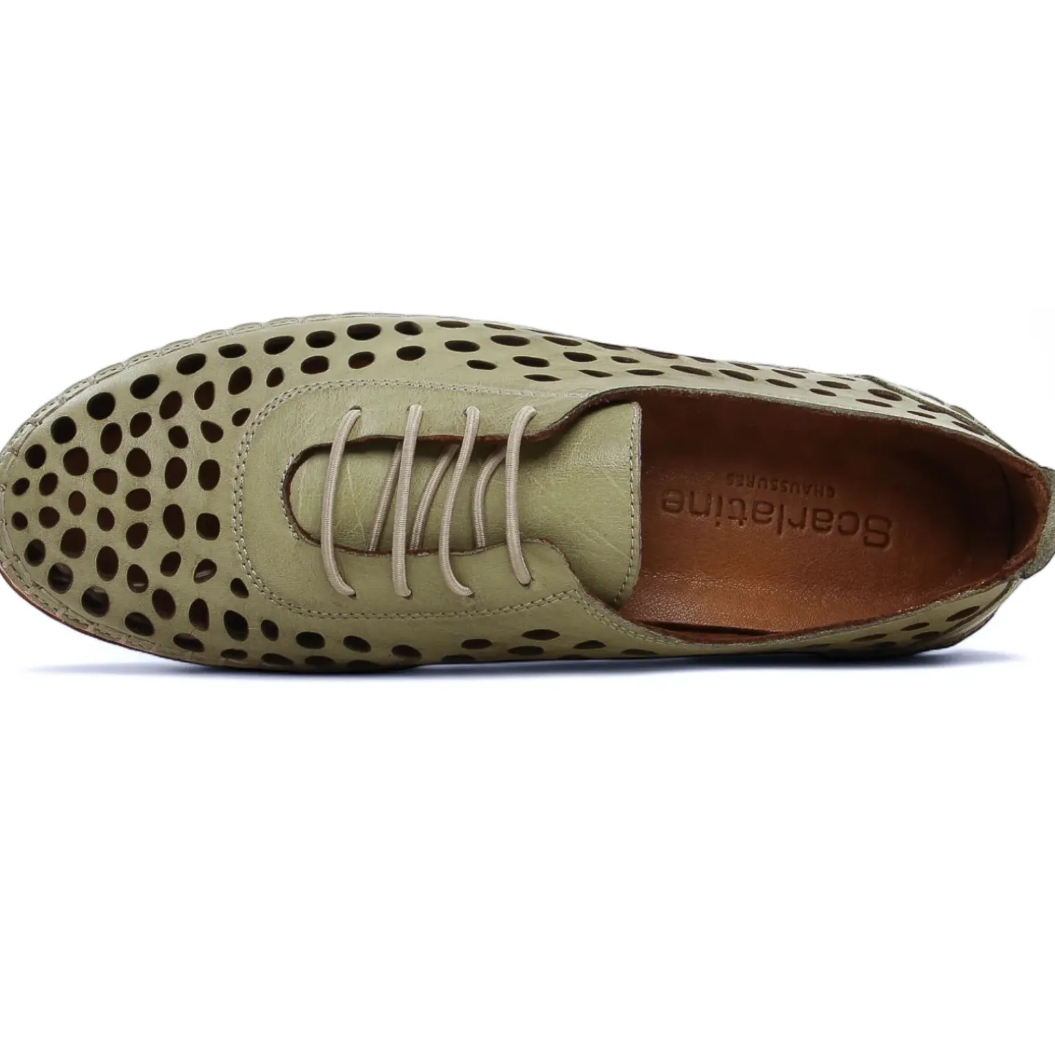 Derbys Scarlatine Pals Kaki